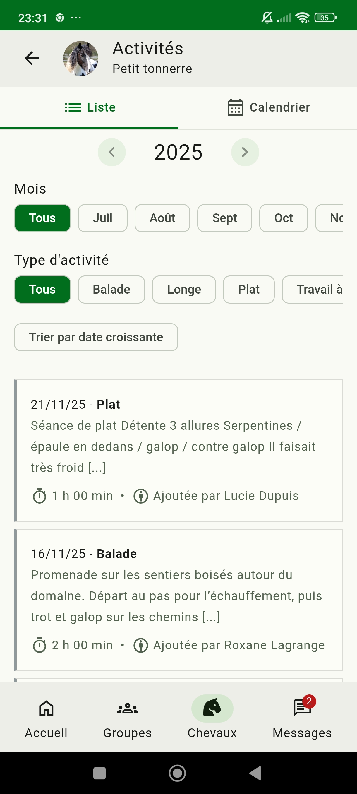 illustration : liste d'activités d'un cheval