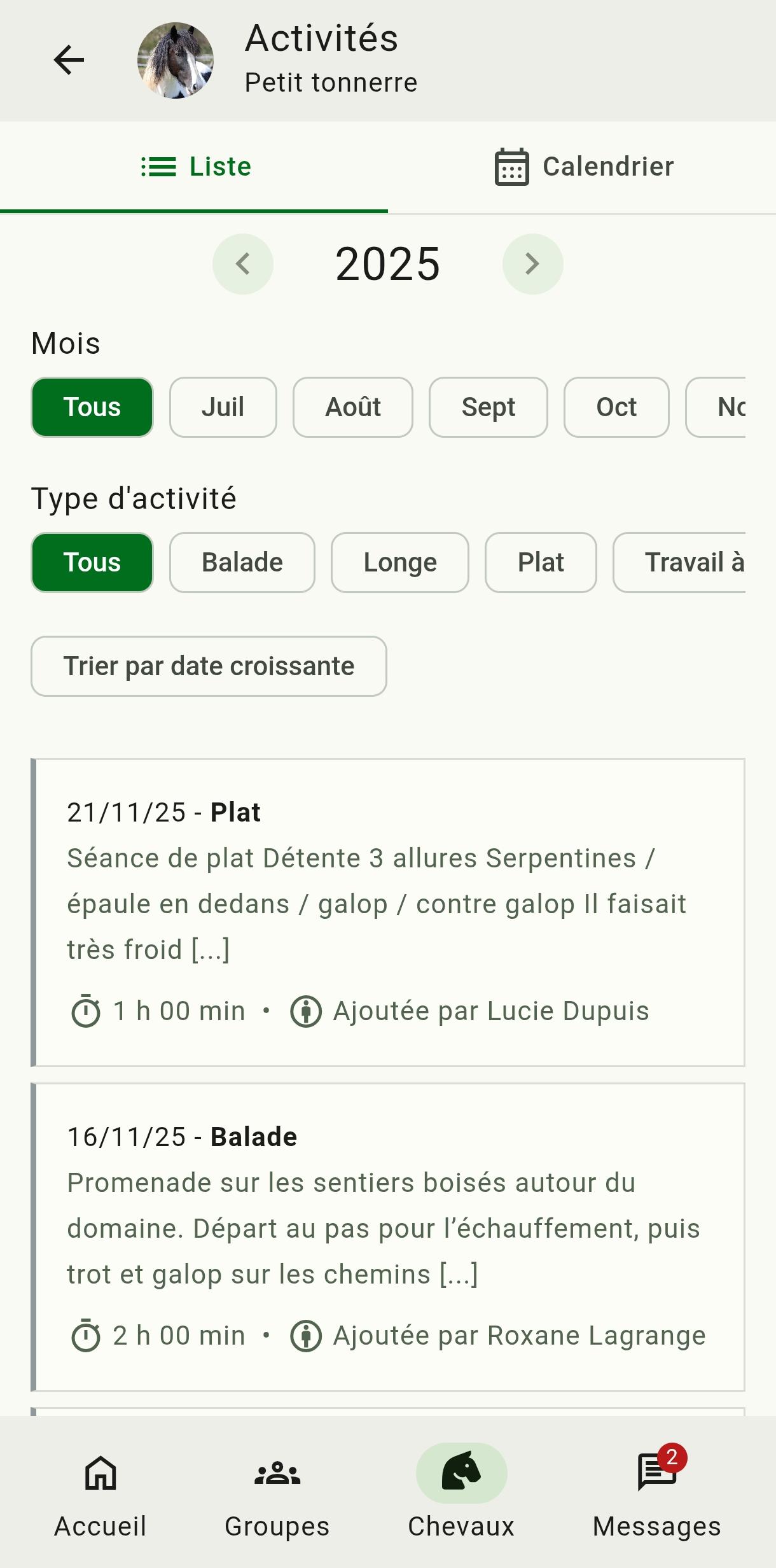 illustration : liste d'activités d'un cheval